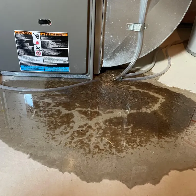 Appliance Leak Cleanup in Hayneville, AL